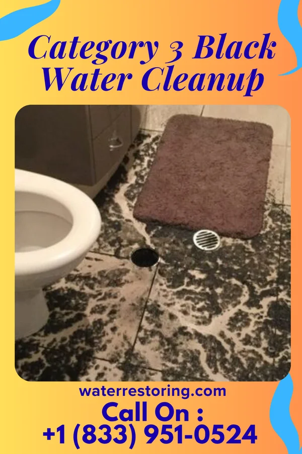 Category 3 Black Water Cleanup in Fowlerville, NY