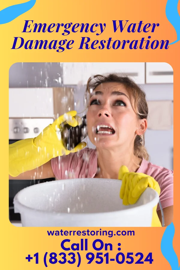 Emergency Water Damage Restoration in Fowlerville, NY