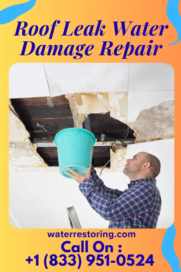 Roof Leak Water Damage Repair in Fowlerville, NY